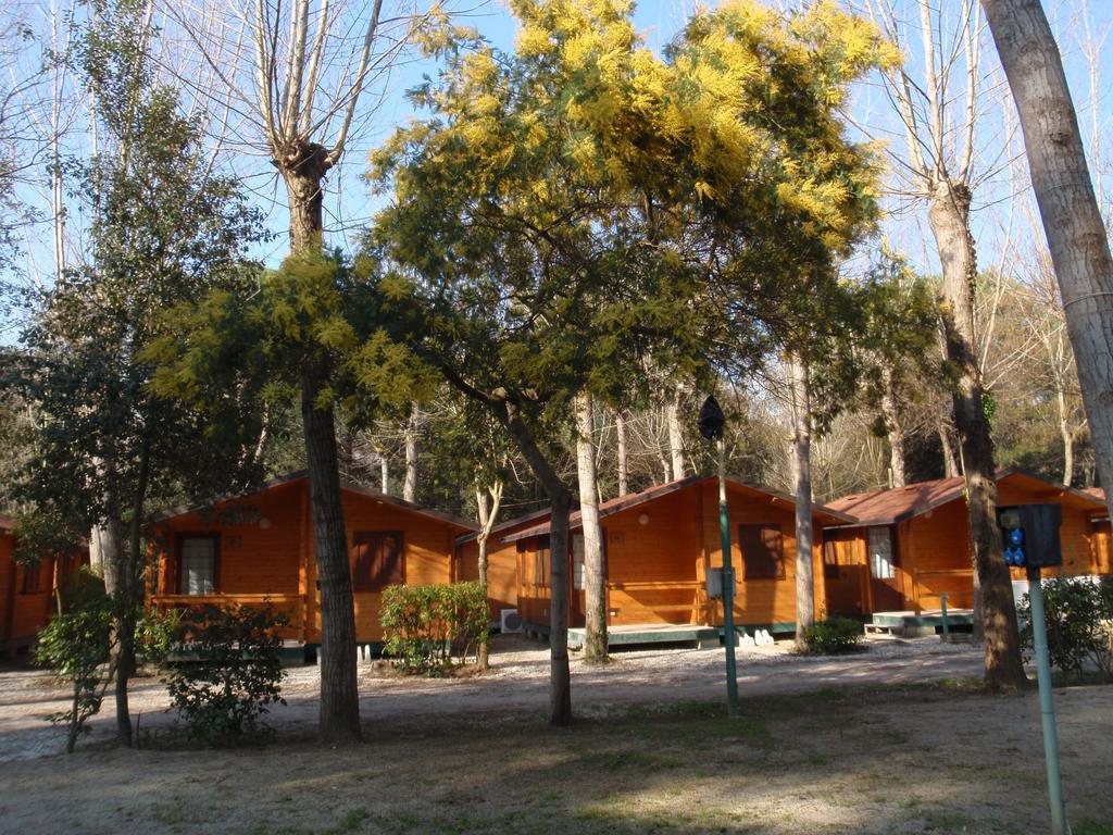 Campeggio Boscoverde Torre del Lago Puccini Exterior photo